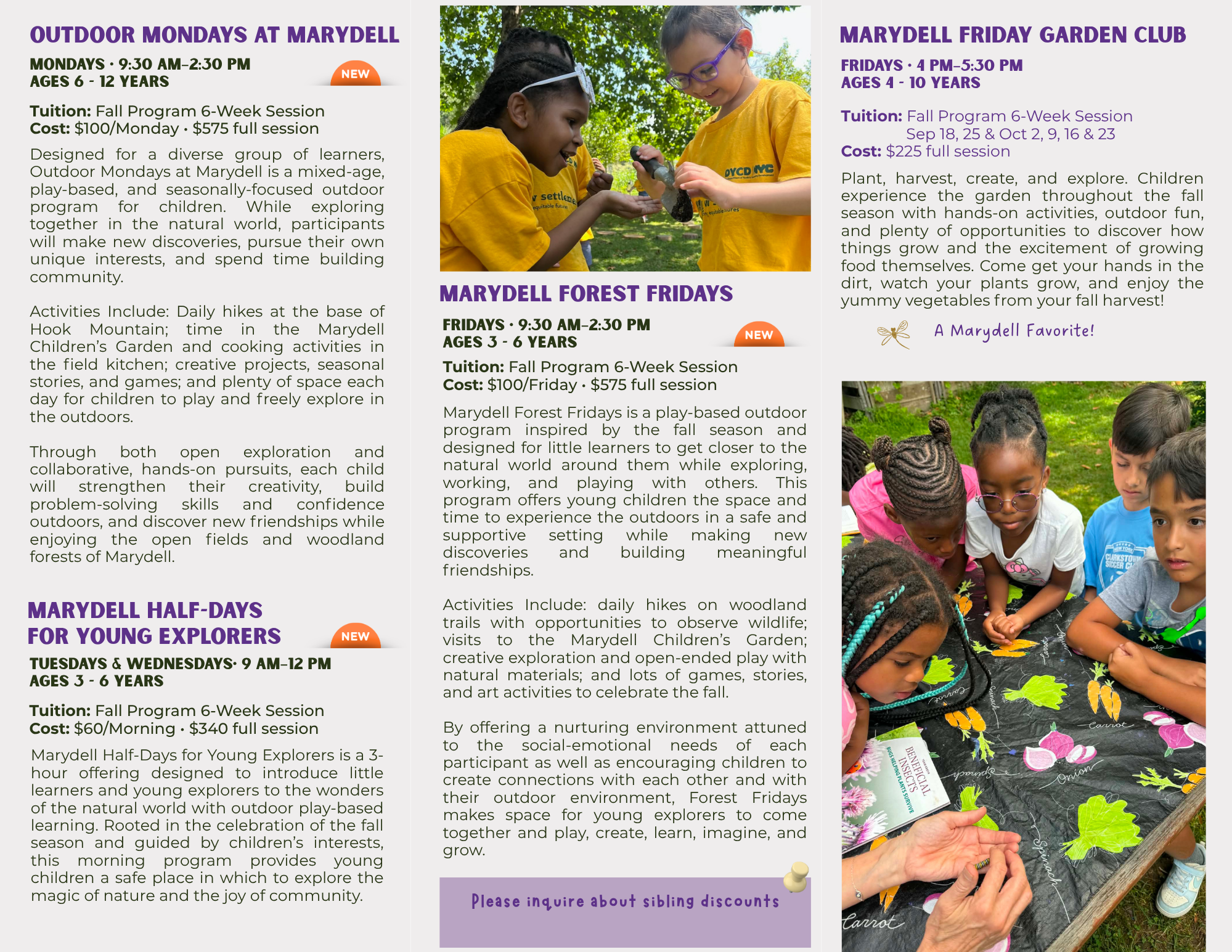 Outdoor Programs Trifold Brochure (1)
